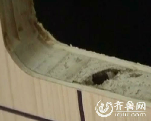 所謂的“馬六甲”進口板材金玉其外敗絮其中。（視頻截圖）